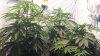 100_0317.jpg