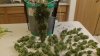 100_0314.jpg