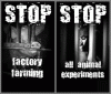 stop-animal-abuse-animal-rights-10822037-412-351.gif