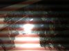 IMG_1114.jpg