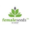 c99-hybrid-feminised-seeds-female-seeds-3459-p.jpg