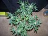 Party Grow 14 015.jpg