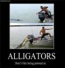 Alligators_zps03dce246.jpg