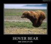 Hover_Bear_zps15589767.jpg