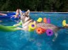 kodi_and_pool_noodles_08-356x261.jpg