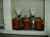 clones 9-15-08 002.jpg