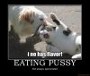 eating-pussy-cat-demotivational-poster-1255192027.jpg