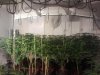 2012-10-08_17.25.06.jpg