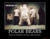 polar-bears-polar-bear-black-penis-demotivational-poster-1210129522.jpeg