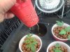 20121019_121744.jpg