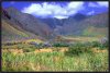 m-04-west-maui-mountains-ol.jpg