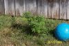 Sept19th and 20th 068.jpg