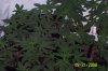 Sept 21st 057.jpg
