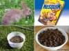 Nesquik8863_zpsed806386.jpg