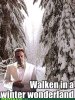 Walken.jpg