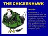 chickenhawk.jpg