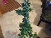 100_2057.jpg
