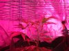 DSC03345.JPG