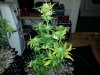 20130203_140313.jpg