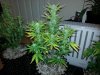20130203_140446.jpg