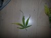 20130203_140617.jpg