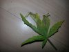20130203_140635.jpg