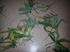 20130203_140643.jpg
