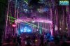 electric-forest.jpg