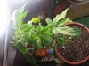 20130218_005958.jpg