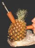 cannabis-pipe-made-from-carrots-and-pineapple-called-a-bong-being-smoked-ANON.jpg