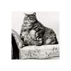 fat-cat.jpg