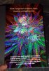 Dankbook3 (Small).jpg