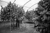 HEROS OF THE FARM_3_1.jpg