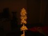 DSCF0073.jpg