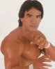 RickySteamboat008.jpg