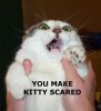 you make kitty scared.jpg