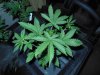 42013 002.jpg
