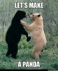 lets make a panda - Copy.jpg