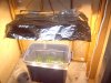 grow02_09days-09-26_4089.upload.jpg