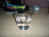 GRO_5.2.13 008.jpg