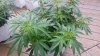 outdoor3may.jpg