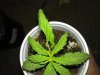 CameraZOOM-20130523203347949.jpg