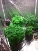 2013-04-11 13.46.23.jpg