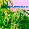 WMKDAY17_2.jpg