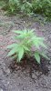 2013-06-24-367.jpg