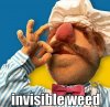 invisible_weed_2947.jpg