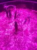20130813_223858.jpg