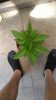 IMAG0035.jpg