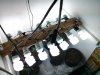 IMG_20130820_185906.jpg
