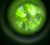 IMAG0203_1.jpg
